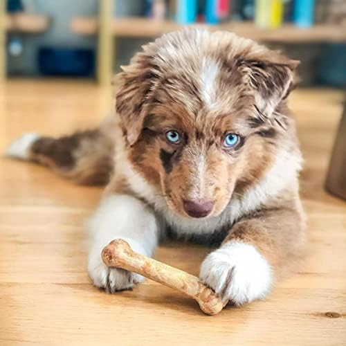 Nylabone Healthy Edibles Puppy Dog Treats Variety Pack, 3 Count - Image 2