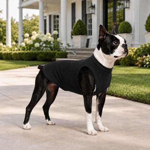 2018 Pet Clothes Dog Clothing Blank T-Shirt Tanks Top Vests for Small Middle Large Size Dogs 100% Cotton Dog Summer Vest Classic (XXL, Black) - Image 5