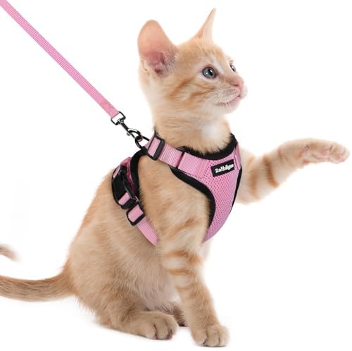 rabbitgoo Cat Harness and Leash Set, Escape Proof Vest, Pink by rabbitgoo