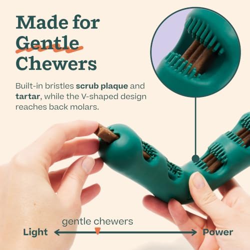 WOOF Bite n' Brush Dog Dental Chew Toy for Small Dogs 10-25 lbs - Image 3