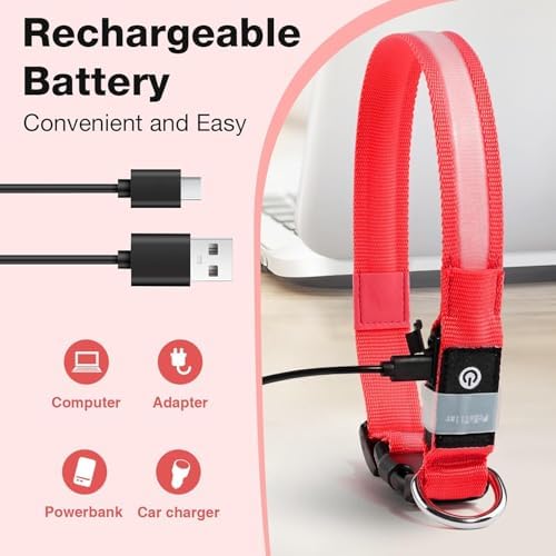 PcEoTllar Light up Dog Collar, Safe for Night Walking, Adjustable, Red, L - Image 3