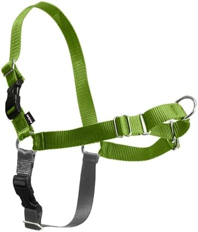 PetSafe Easy Walk Harness, No Pull Dog Harness, Apple Green, Medium by PetSafe