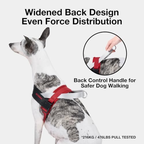VETRESKA Dog Harness and Leash Set, Easy Walk Dog Harness, M - Image 3