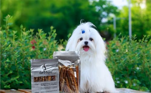 Regular Fully Organic Bully Sticks (1 Pound – 6 Inch) (16 oz Pack) - All Natural, 100% Beef Pizzle Dog Chews, Fully Digestible, Best Dental Treats for Puppies, Medium & Small Dogs (6") (1 lb) - Image 5