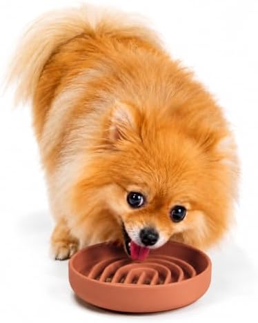Slow Feeder Dog Bowl - Silicone Dog Bowl, Small, 6" x 1.25" - Terracotta by ShouldWeGo