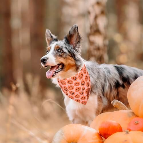 ADOGGYGO Dog Halloween Bandana, 2 Pack Pumpkin Ghost Dog Scarf, Large - Image 2