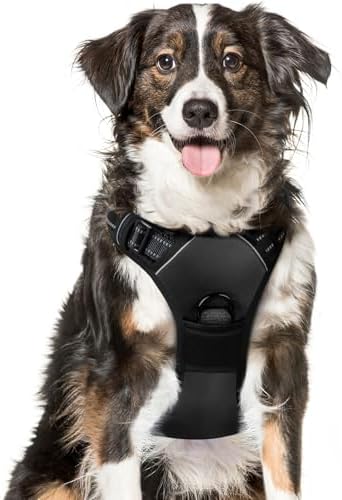 Eagloo Dog Harness for Large Dogs, No Pull Pet Vest with 2 Leash Clips by GoExplorewithEagloo