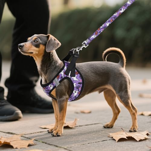 KOOLTAIL Halloween Dog Harness and Leash Set for Small Medium Dogs, Step in No Pull Soft Mesh Harness Comfort Padded Pet Vest, Adjustable Reflective Easy Walking Puppy Cats Harness Training, Ghost M - Image 6