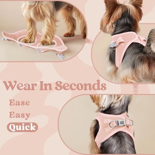 rabbitgoo Step-in Small Dog Harness, Puppy Vest for Small Sized Pet - Image 5