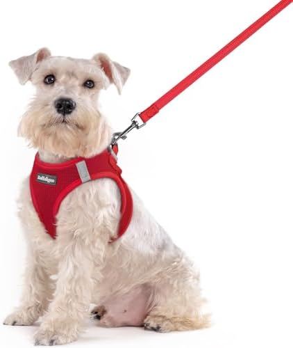rabbitgoo Dog Harness Medium Sized and Leash Set, Step-in Puppy Pet Vest by rabbitgoo