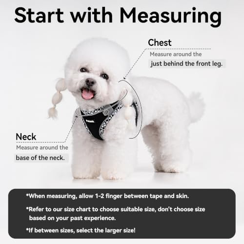 Petank Step in Dog Harness No Pull and Leash for Small Medium Dogs Cats. - Image 4