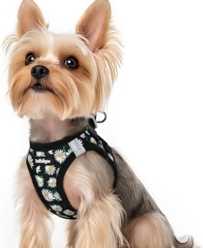 rabbitgoo Step-in Small Dog Harness, Puppy Vest for Small Sized Pet by rabbitgoo