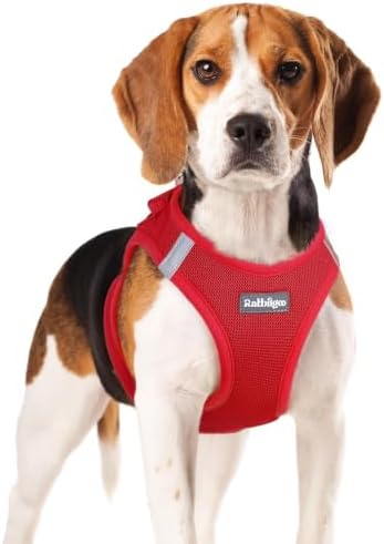 rabbitgoo Step-in Small Dog Harness, Puppy Vest for Small Medium Sized Pet by rabbitgoo