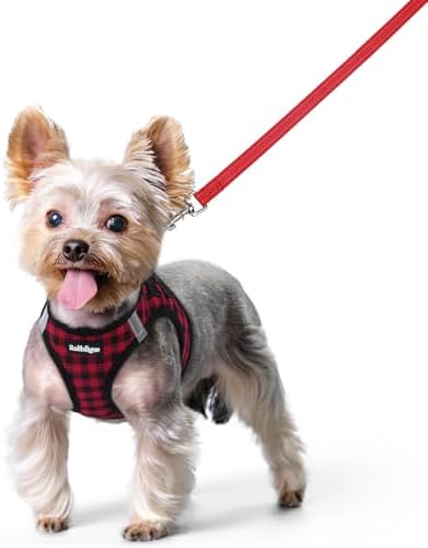 rabbitgoo Dog Harness Small Sized and Leash Set, Step-in Puppy Pet Vest by rabbitgoo