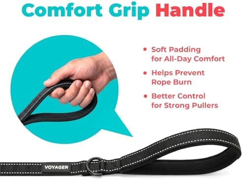 Best Pet Supplies Voyager Nylon Dog Leash - Black, Medium - Image 5