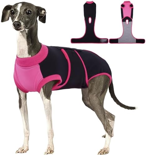 Kuoser Dog Recovery Suit, Female Male Spay Neuter Surgery Suit, Black, L by Kuoser