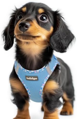 rabbitgoo Step-in Small Dog Harness, Puppy Vest for Small Sized Pet by rabbitgoo