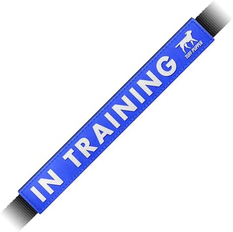 Waterproof Dog Leash Sleeve, in Training Dual-Sided Message Wrap, 1-Pack by TuffPupper