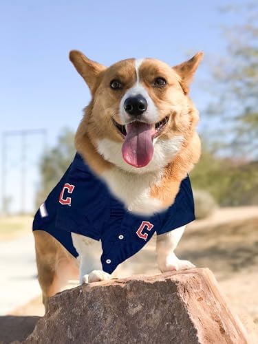 Official MLB Cleveland Guardians Pet Jersey for Dogs & Cats, Size Medium - Stylish Baseball Jersey for Your Furry Fan- Show Off Team Spirit with The Perfect Fan Apparel Gear for Pet, Dog & Cat - Image 6