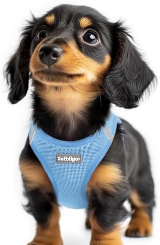 rabbitgoo Step-in Small Dog Harness, Puppy Vest for Small Sized Pet by rabbitgoo