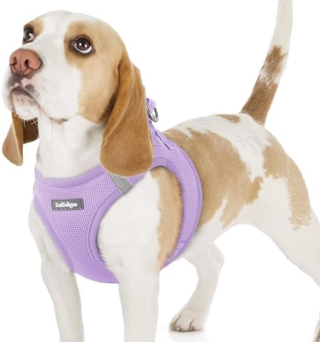 rabbitgoo Step-in Small Dog Harness, Puppy Vest for Small Sized Pet by rabbitgoo