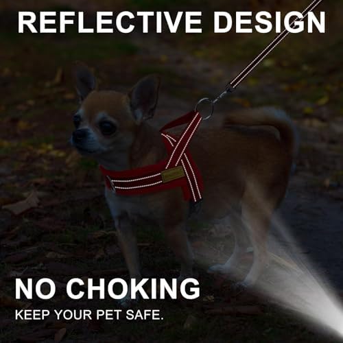 BEAUTYZOO Small Dog Harness and Leash Set, No Pull Step in Puppy Vest - Image 3