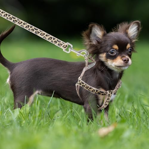 Mile High Life Leopard Dog Harness Collar Leash Set, Adjustable No Pull Dog Halter Harness for Small Breed Dogs, Easy Control for Training Walking (Beige, M Chest 15"-21", Neck 13"-17") - Image 7