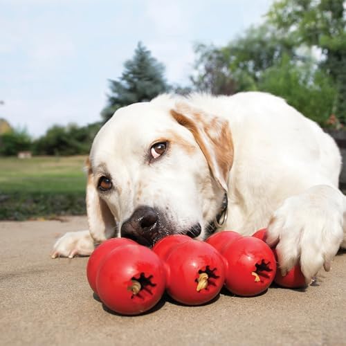 KONG Goodie Ribbon, Stuffable Natural Rubber Dog Toy, for Large Dogs - Image 3