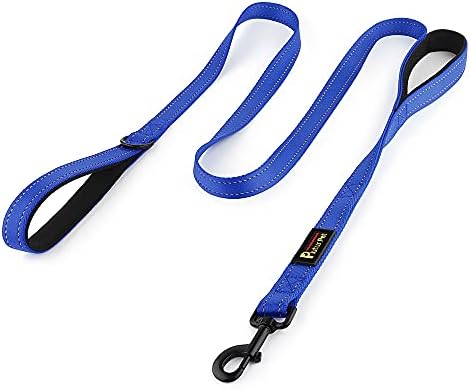 Plutus Pet Double Handle Dog Leash, 4 FT Long, for Medium Large Dogs by PLUTUSPET