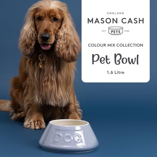 Mason Cash Non-Tip Dog Bowl - 54oz Grey Ceramic Angled Pet Food Water Dish - Image 3