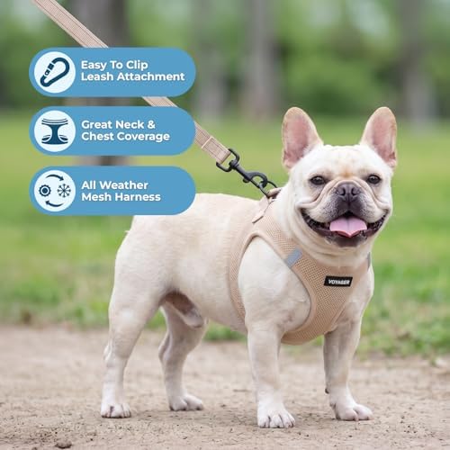 Best Pet Supplies Voyager Step-in Air All Weather Mesh Harness and Reflective Dog 5ft Leash Combo with Neoprene Handle, for Small, Medium and Large Breed Puppies - Khaki, XS - Image 5