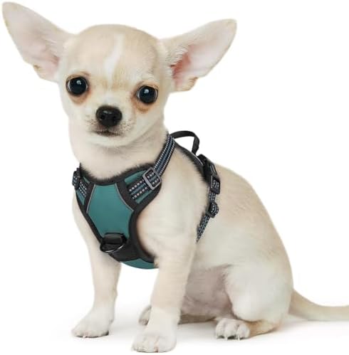 Eagloo Dog Harness for Small Dogs, No Pull Pet Vest with 2 Leash Clips by GoExplorewithEagloo