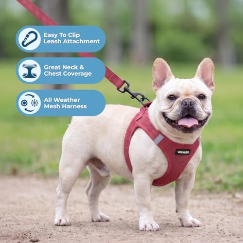 Best Pet Supplies Voyager Step-in Air All Weather Mesh Harness and Reflective Dog 5ft Leash Combo with Neoprene Handle, for Small, Medium and Large Breed Puppies - Burgundy, M - Image 5