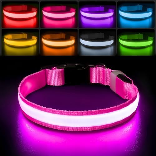 PcEoTllar Light up Dog Collar, Safe for Night Walking, Adjustable, Pink, M by PcEoTllarPetSupplies