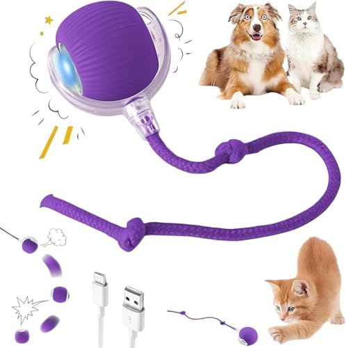Durable Interactive Cat Toys for Indoor Cats, Dog Toys Ball, Rolling Pet Ball, Smart Automatic Cat Chase Balls Toy, Interactive Dog Toys Speedy Tail,Kitten & Cat Toys Interactive (Purple) by Unknown