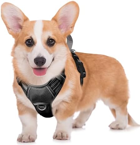 BARKBAY Dog Harness for Medium Sized Dog No Pull Dog Vest ID Tag Pocket by BARKBAY