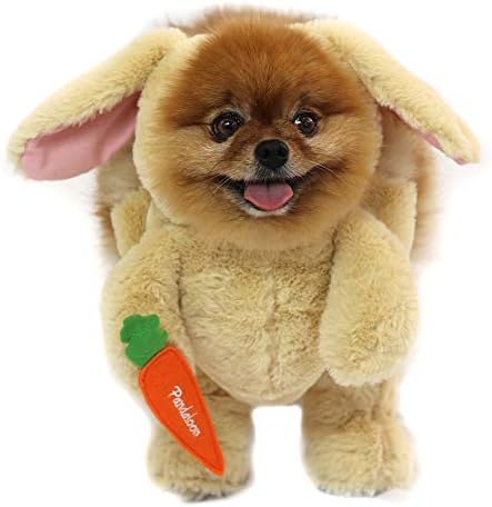 Pandaloon Dog Halloween Costume - As Seen on Shark Tank - Patented - Funny Costume with Arms for Small and Medium Dogs and Cats (Bunny, Size 2(15-16 in Height at TOP of Head,Girth<16 in)) by Pandaloon