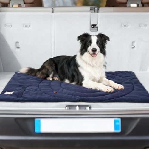 Lightly Padded Roll-Up Travel Dog Mat Settle & Place Training - Image 6