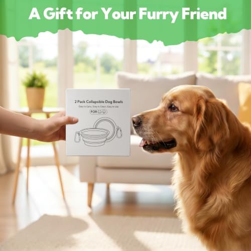 Collapsible Dog Bowl Large 34oz, Travel Dog Water Bowl Portable - Image 6