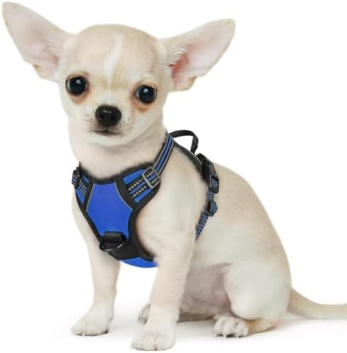 Eagloo Dog Harness for Small Dogs, No Pull Pet Vest with 2 Leash Clips by GoExplorewithEagloo