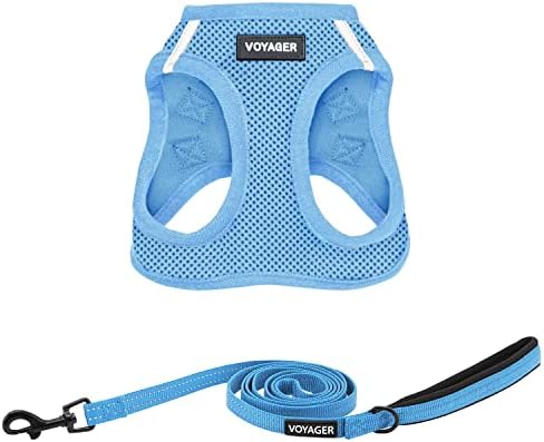 Best Pet Supplies Voyager Step-in Air All Weather Mesh Harness and Reflective Dog 5ft Leash Combo with Neoprene Handle, for Small, Medium and Large Breed Puppies - Baby Blue, Small by BestPetSuppliesLLC