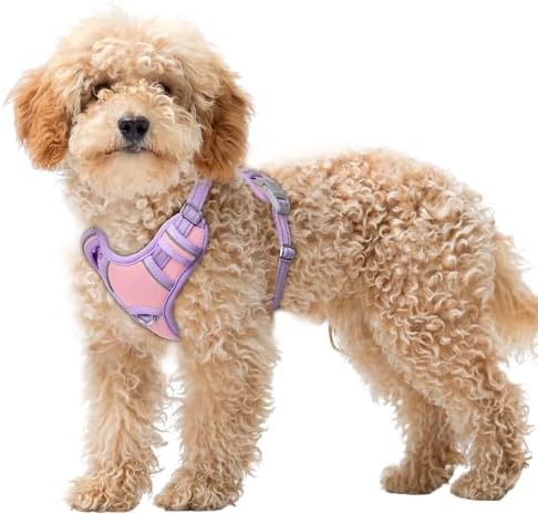 BARKBAY Dog Harness for Small Sized Dog No Pull Dog Vest ID Tag Pocket by BARKBAY