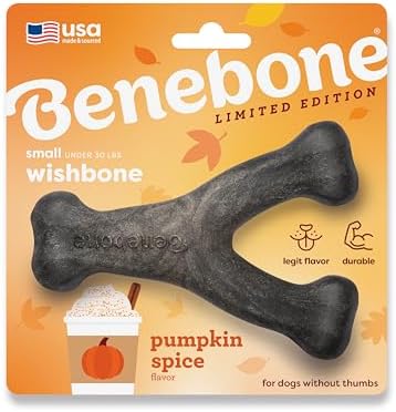 Benebone Wishbone Chew Toy for Aggressive Chewers, Pumpkin Spice, Small by Benebone
