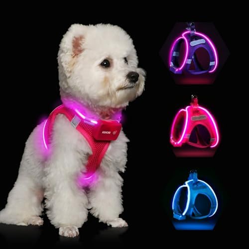Light Up Dog Harness, Rechargeable LED Dog Harness for Small Medium Dogs by FEYCIG