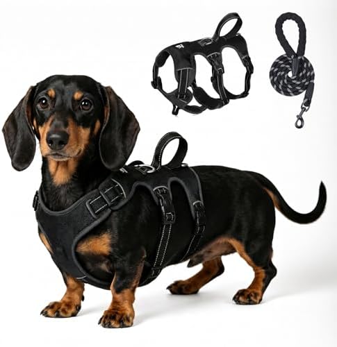 Escape Proof Dog Harness and Leash Set,Soft Padded Full Body Pet Harness, No Pull Reflective Adjustable Dog Vest with Handle, Easy Control Dog Harness for Medium Large Dogs Training Walking Running by Unknown