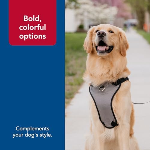 Coastal Pet Inspire Enhanced Core Dog Harness, Green, 5/8" x 16" 24" - Image 5