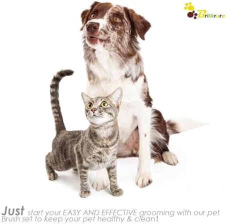 2 Pack Dog Grooming Bath Brush, Premium Soft Silicone Pet Brushes with Handle, Shampoo Soothing Comb for Wet Dry Long Short Haired Dogs & Cats Massaging, Deshedding Shower Scrubbing - Image 7