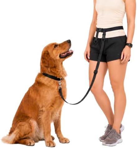 The Buddy System - Hands Free Dog Leash - Regular Dog, X-Large, Black by TheBuddySystem