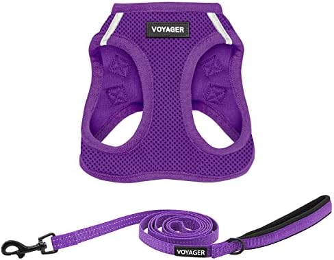 Best Pet Supplies Voyager Step-in Air All Weather Mesh Harness and Reflective Dog 5ft Leash Combo with Neoprene Handle, for Small, Medium and Large Breed Puppies - Purple, X-Large by BestPetSuppliesLLC