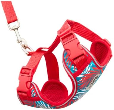 RC Pets Adventure Kitty Harness Includes Adjustable, Airmesh Fabric, 6' Leash and D-Ring Cat Walking Harness | Maldives, Small by RCPets